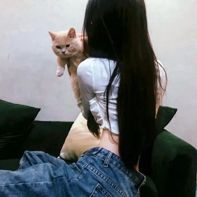 星际总动员